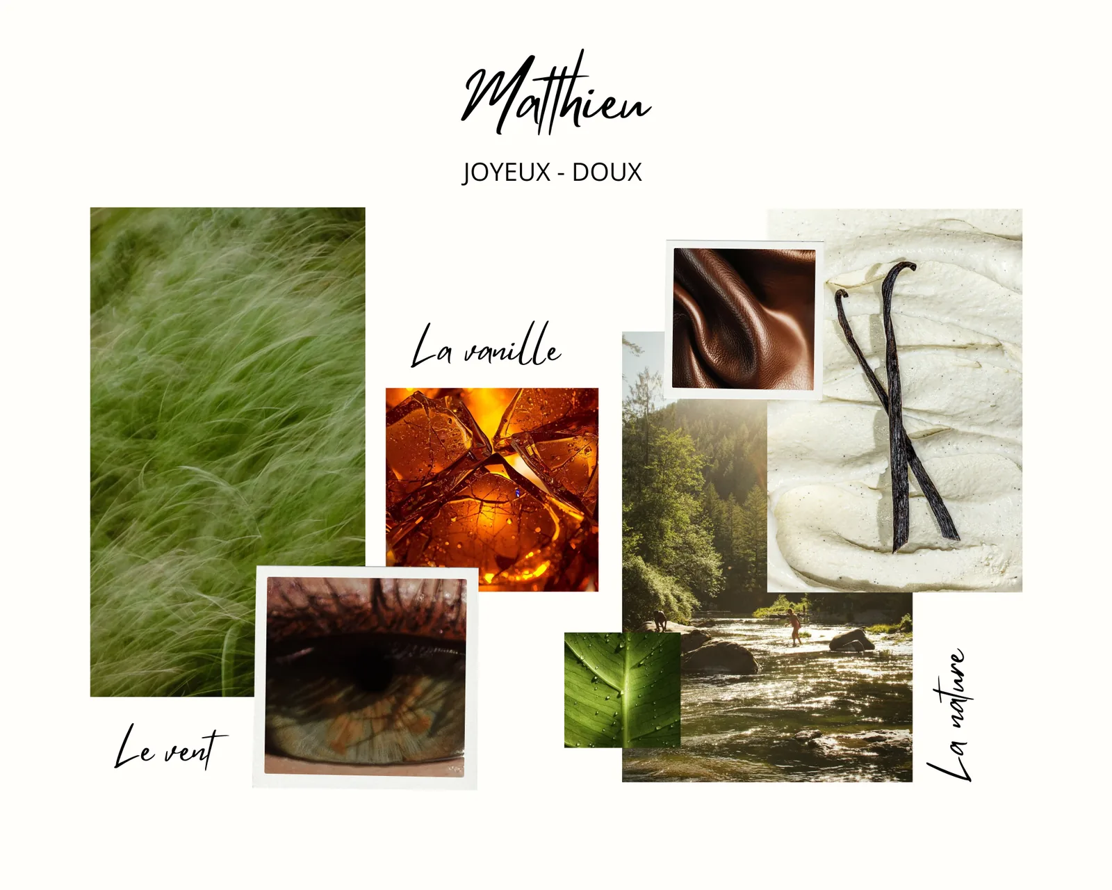 Univers olfactif Matthieu, joyeux, doux : le vent, la vanille, la nature